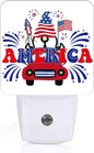 FSHVQKD Happy Independence Day Night Light, Plug Into Wall by Unknown