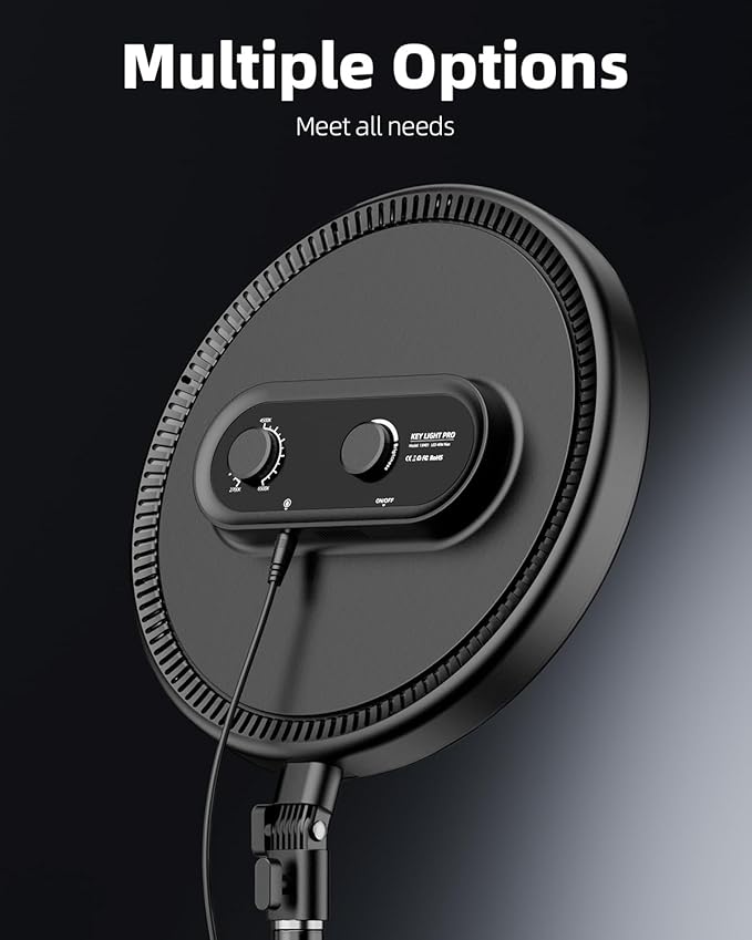 Weilisi Large Ring Light with 79" Stand, 6500K Professional Full-Screen Big - Image 4