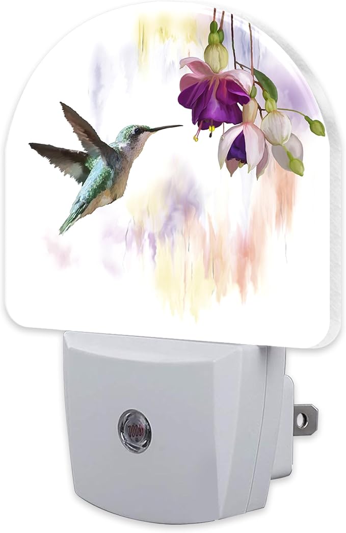 sndheke Hummingbird Flowers Night Light by sndheke