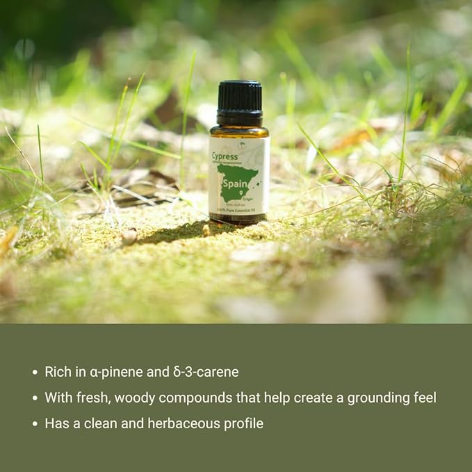 Cypress Essential Oil - Image 6