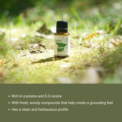 Cypress Essential Oil - Image 6