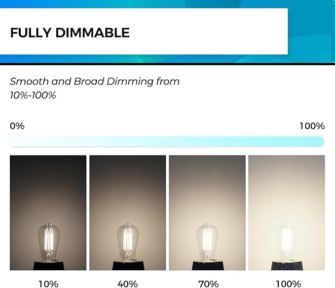 Hizashi E26 Edison Bulb 60 Watt LED, 4000K Dimmable Light Bulbs, ST19 Vintage - Image 2