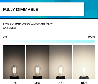 Hizashi E26 LED Bulb 60 Watt Dimmable, 4000K LED Edison Bulbs, ST19 Vintage - Image 3