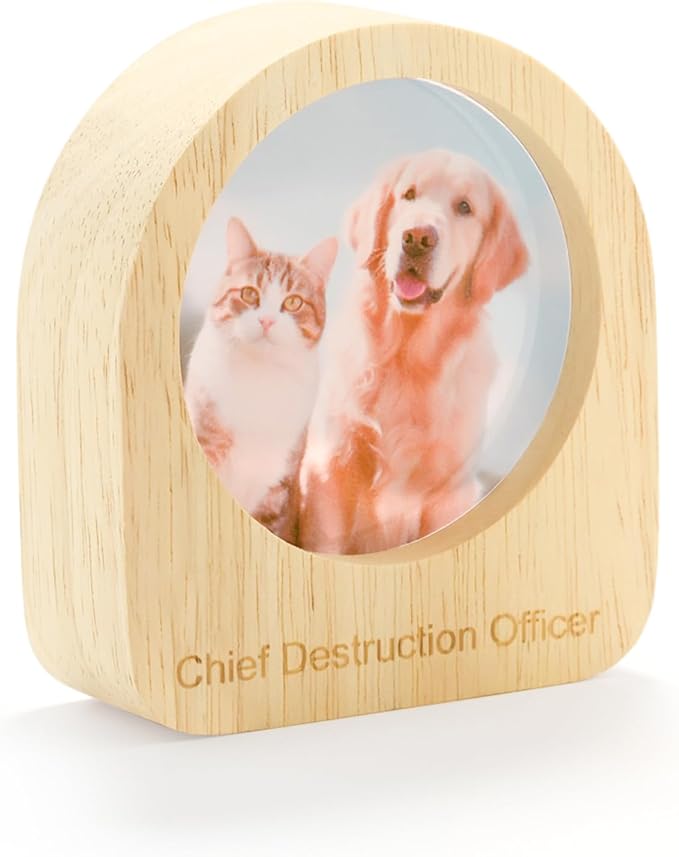 Yijhpbc Custom 3D Crystal Photo Night Light Personalized Photo Crystal Ball by Unknown