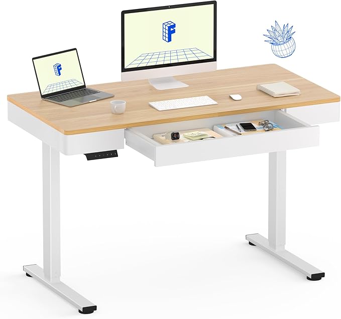 FLEXISPOT Q5 Standing Desk by FlexiSpot