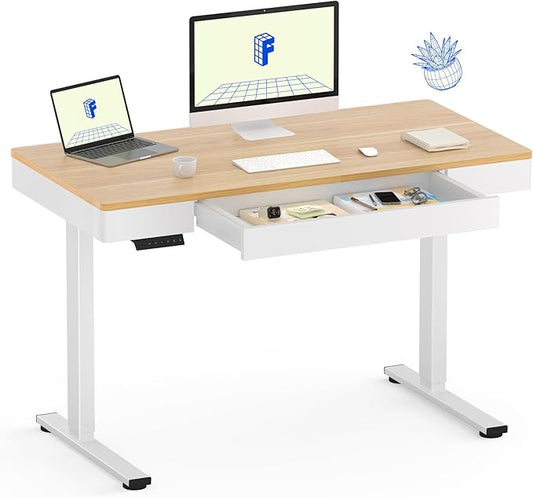 FLEXISPOT Q5 Standing Desk by FlexiSpot