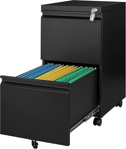 Letaya 2 Drawer Mobile File Cabinet by LetayaMetalCabinets