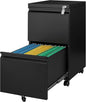 Letaya 2 Drawer Mobile File Cabinet by LetayaMetalCabinets