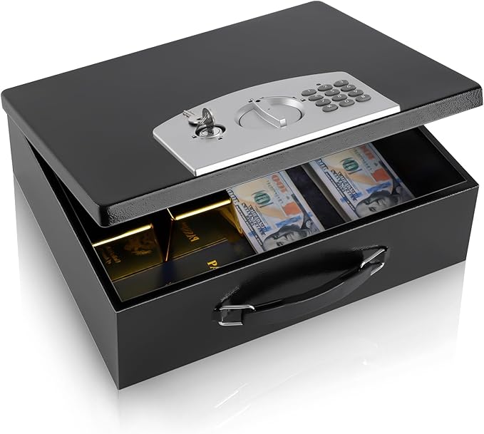 Dalmbox Portable Metal Safe Box by Dalmbox