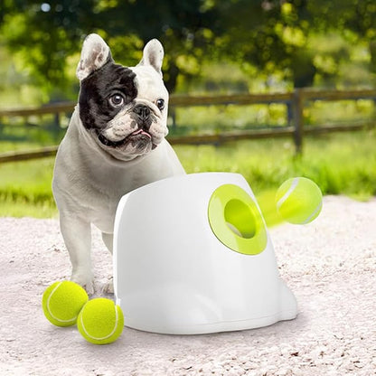 ALL FOR PAWS Original Dog Automatic Ball Launcher for Small and Medium Dogs by Home