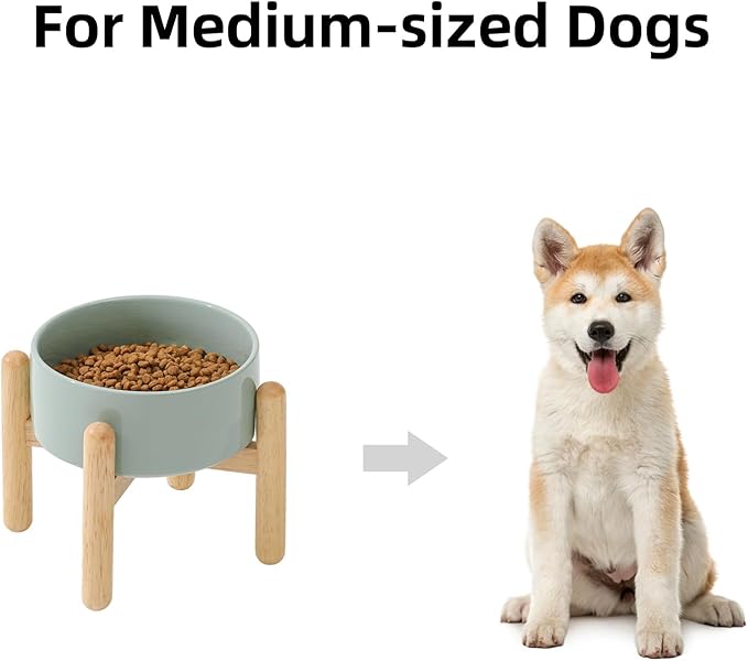 Ceramic 6.1inch Raised Dog Bowl - Image 4