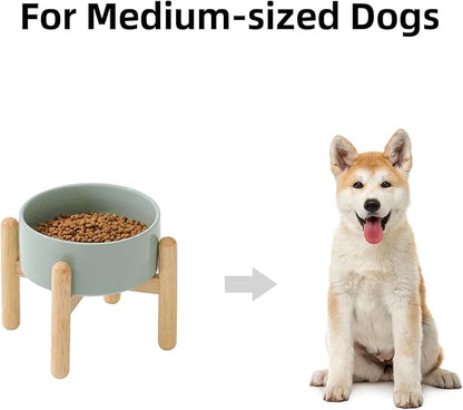 Ceramic 6.1inch Raised Dog Bowl - Image 4
