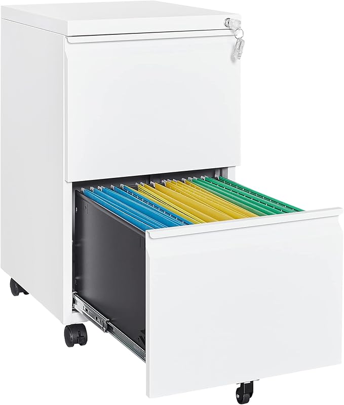 Letaya 2 Drawer Mobile File Cabinet by LetayaMetalCabinets