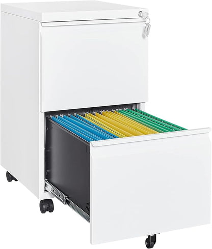 Letaya 2 Drawer Mobile File Cabinet by LetayaMetalCabinets