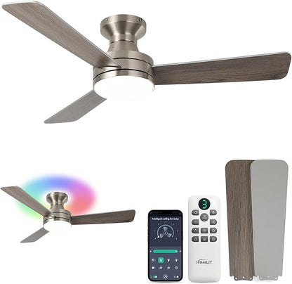 Homlit 42 inch RGB Ceiling Fan by Homlit