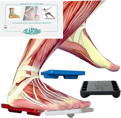 Ankle Foot Exerciser® Ankle Strengthener by AnkleFootExerciser