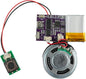 Voice Module, MP3 Music Sound Chips, 16MB Sound Module by JRGKJCP