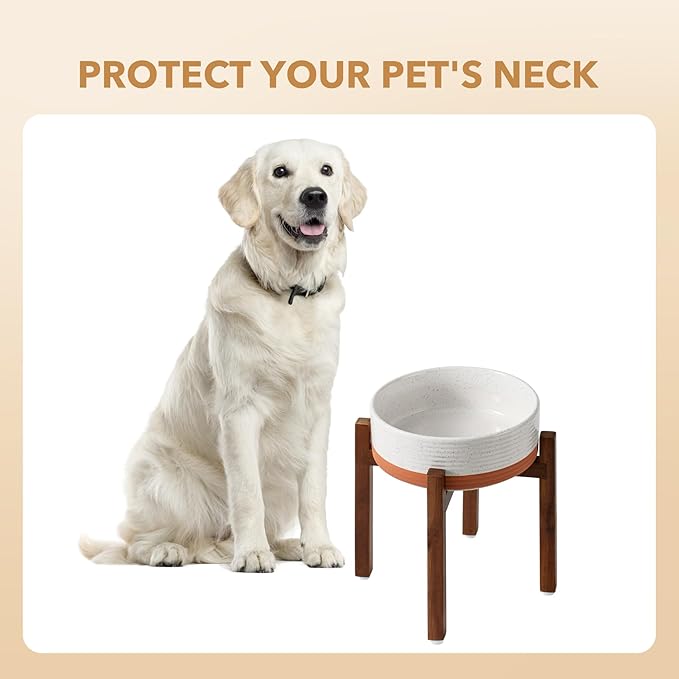 Ceramic 8.2inch Raised Dog Bowl Set, Elevated - Image 6