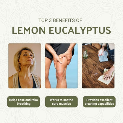 Lemon Eucalyptus Oil by Eucaliptus from Brazil - Image 2
