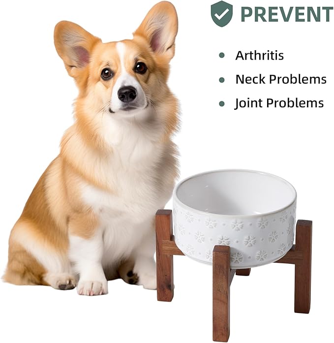 Ceramic 6.1inch Raised Dog and Cat Bowl Set, 2 Heights Elevated - Image 6