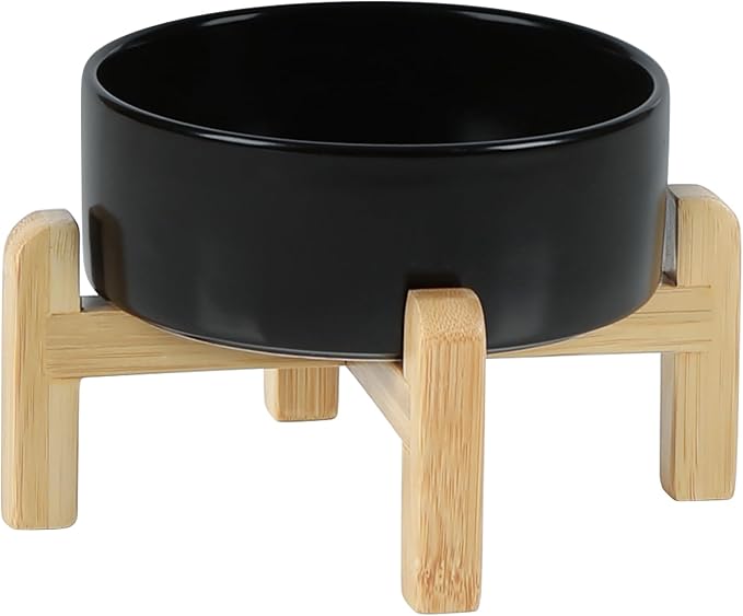Ceramic Raised Dog and Cat Bowl Set, 2 Heights Elevated Stand, Food and Water by Havniva