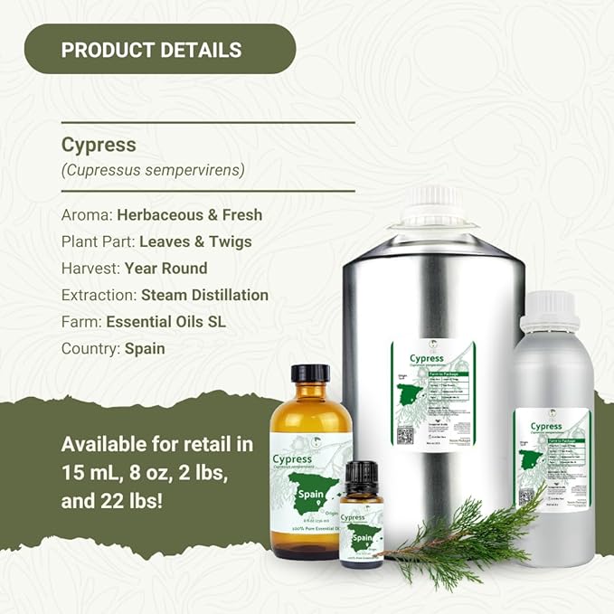 Cypress Essential Oil - Image 5