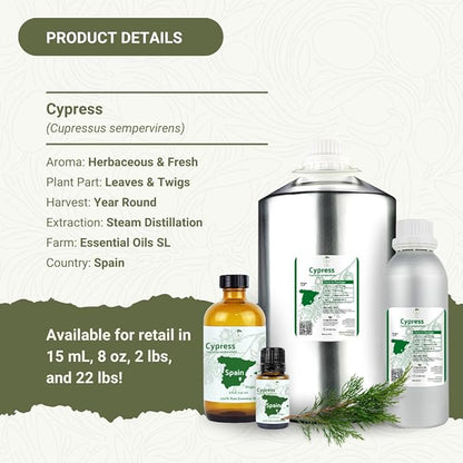 Cypress Essential Oil - Image 5