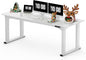 SANODESK 4-Leg Standing Desk, Electric Height Adjustable Desk by sanodesk