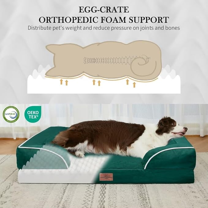 Comfort Expression Orthopedic Dog Bed - Image 2