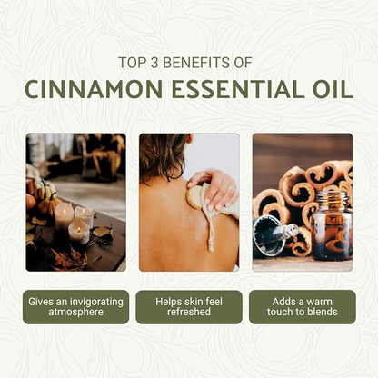 Cinnamon Essential Oil - Image 2