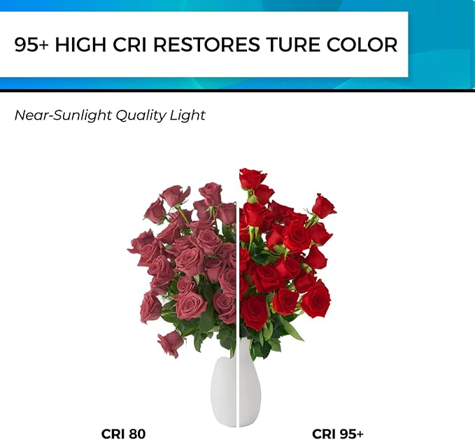 Hizashi E26 LED Bulb 60 Watt Dimmable, 4000K LED Edison Bulbs, ST19 Vintage - Image 5