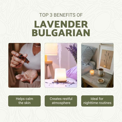 Lavender Oil - Bulgarian Essential Oils - Lavender Diffuser - Pure Therapeutic - Image 2