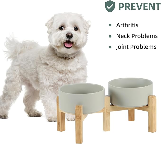 Ceramic Raised Double Bowls Set - Image 5