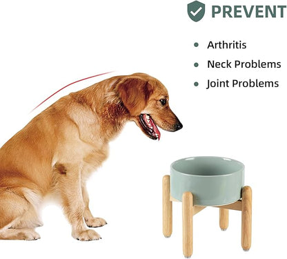 Ceramic 7.3inch Raised Dog Bowl Set, Elevated - Image 5