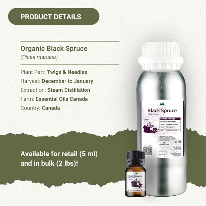 Organic Black Spruce Essential Oil from Canada - Image 3