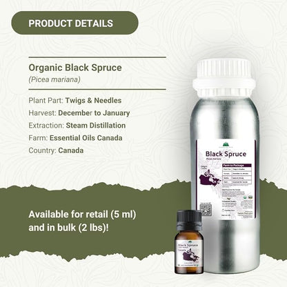 Organic Black Spruce Essential Oil from Canada - Image 3