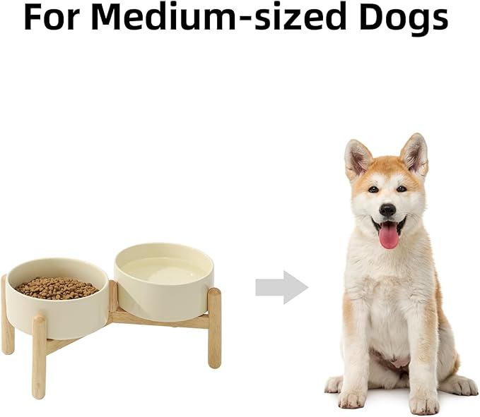 Ceramic 6.1inch Raised Dog Bowl - Image 4