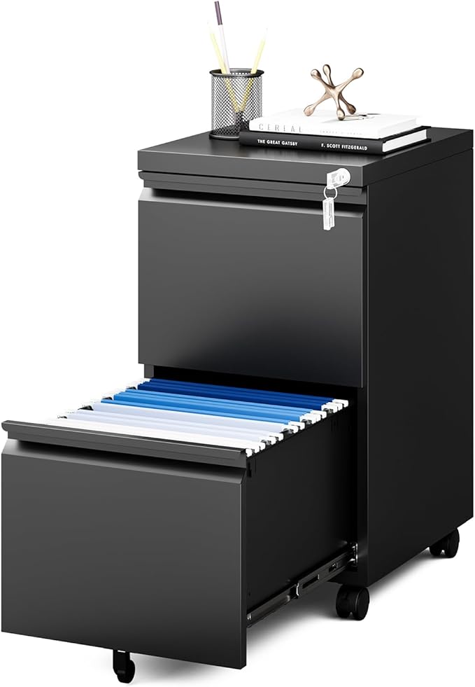 MIIIKO 2 Drawer File Cabinet on Wheels, Home Office Mobile File Drawers Under by MIIIKOOfficeFurniture