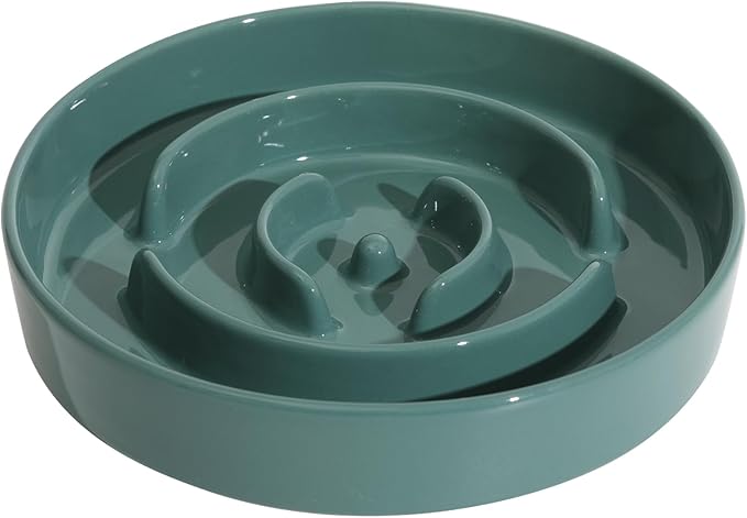 Ceramic 1.6 Cup Slow Feeder Dog Bowl by Havniva