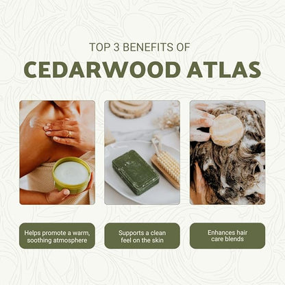 Cedarwood Atlas Essential Oil - Image 2