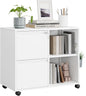 MIIIKO 2 Drawer File Cabinet on Wheels, Metal Filing Cabinets by MIIIKOOfficeFurniture