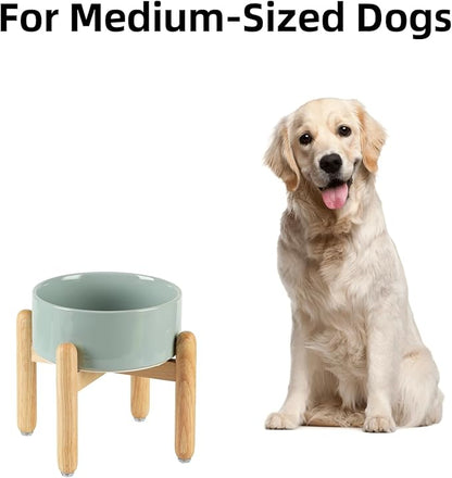 Ceramic 7.3inch Raised Dog Bowl Set, Elevated - Image 4