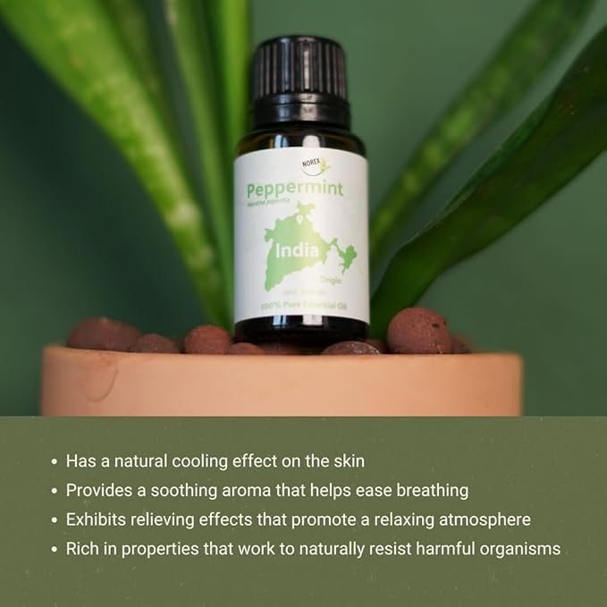 Peppermint Essential Oil - Image 6