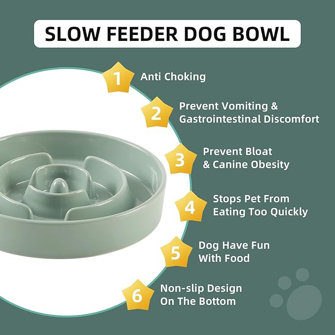 Ceramic 1.2 Cup Slow Feeder Dog Bowl - Image 4