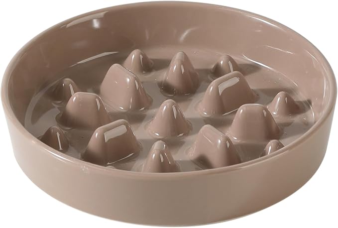 Ceramic 1.6 Cup Dog Bowl Slow Feeder, 8.2 inch Slow Pet Food Dish by Havniva