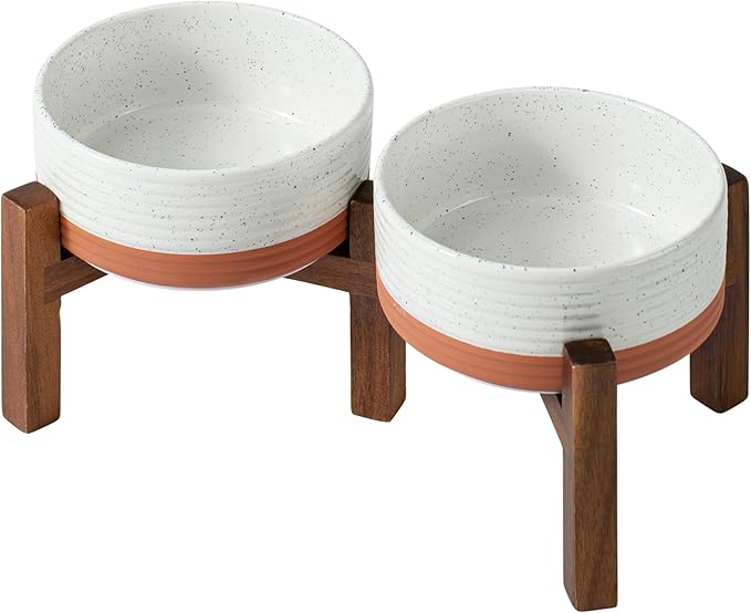 Ceramic 6.1inch Raised Double Dog Bowls Set by Havniva