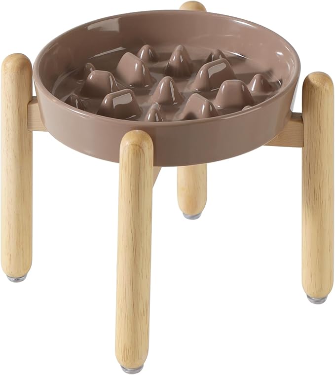 Ceramic 1.6 Cup Dog Raised Slow Feeder Set, Elevated Bowl by Havniva