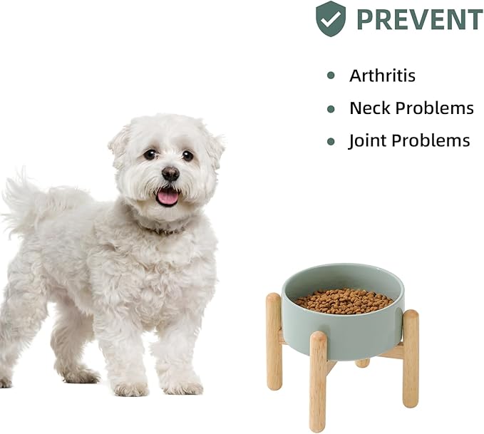 Ceramic 6.1inch Raised Dog Bowl - Image 5