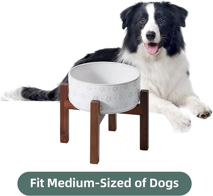 7.3inch Ceramic Raised Dog Bowl Set, Elevated - Image 5