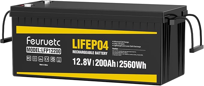 12V 200Ah Lithium LiFePO4 Battery, Built-in 200A BMS, 2560Wh Energy Storage by Saveupto50onFeuruetc